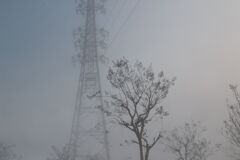 朝霧に幻想を見る2