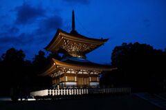 聖天院桜祭り2
