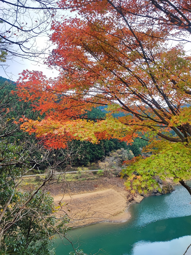飯能名栗湖7