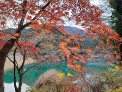 飯能名栗湖1