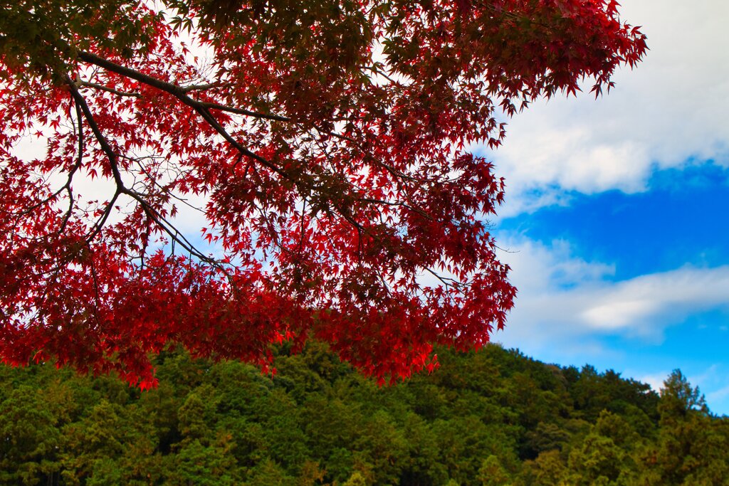 待ち焦がれた・・・5