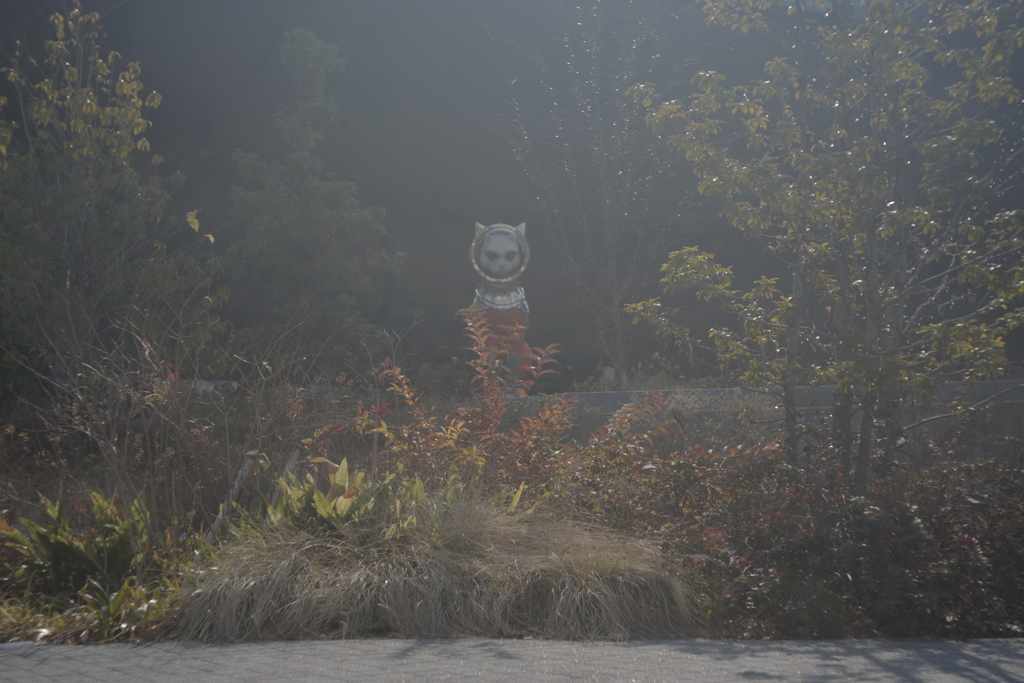 ニャー　オールドレンズ