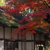 社務所と紅葉