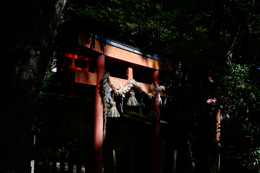 日差し