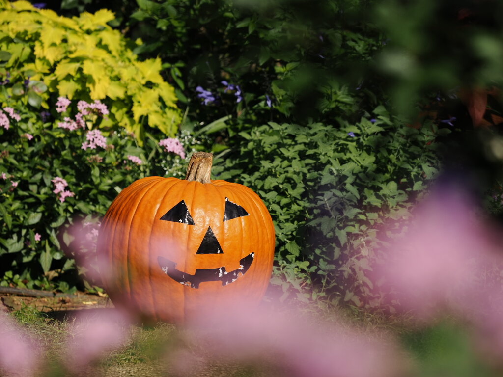 ハロウィンの装い