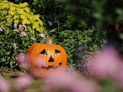 ハロウィンの装い