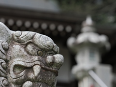 睨みをきかす