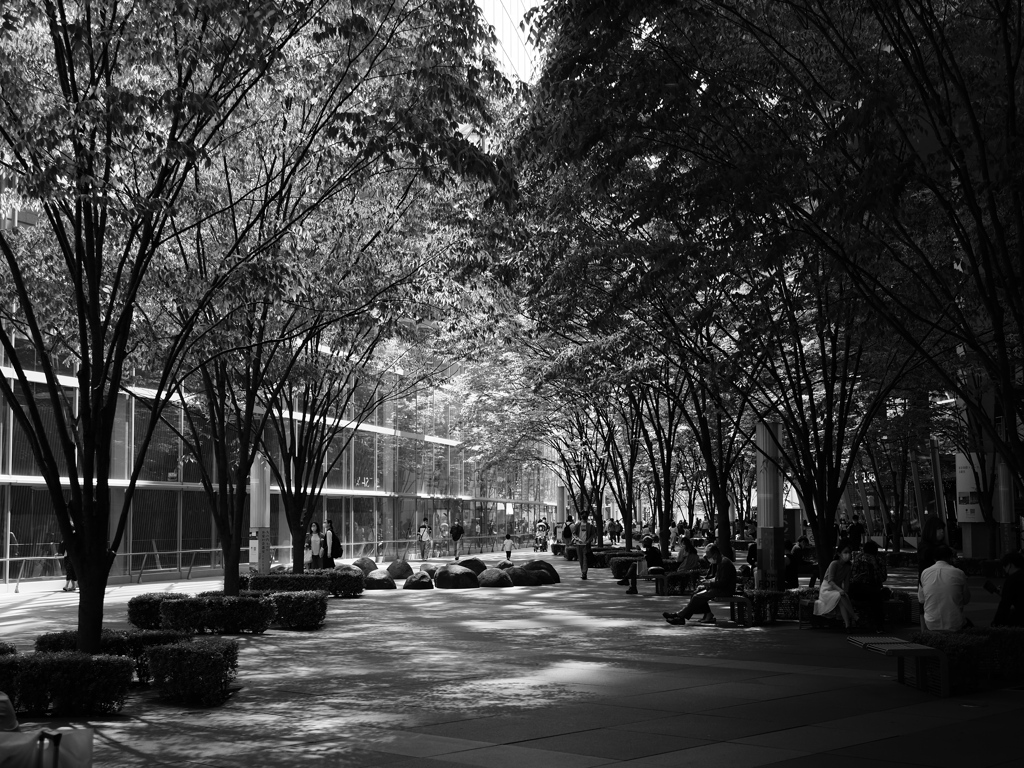 都会のオアシス