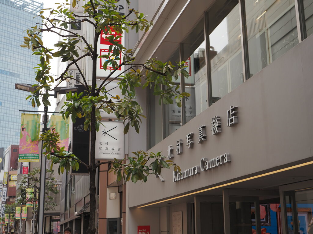 写真機店