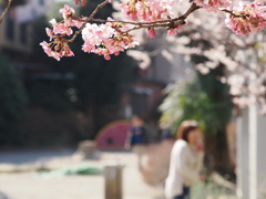 公園にて