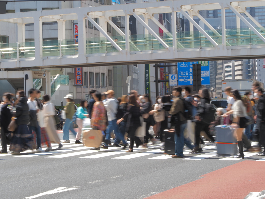 甲州街道での一幕