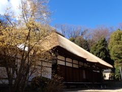 如月の名刹