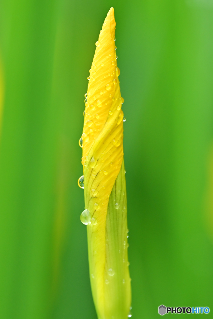 梅雨時の光景　Ⅱ