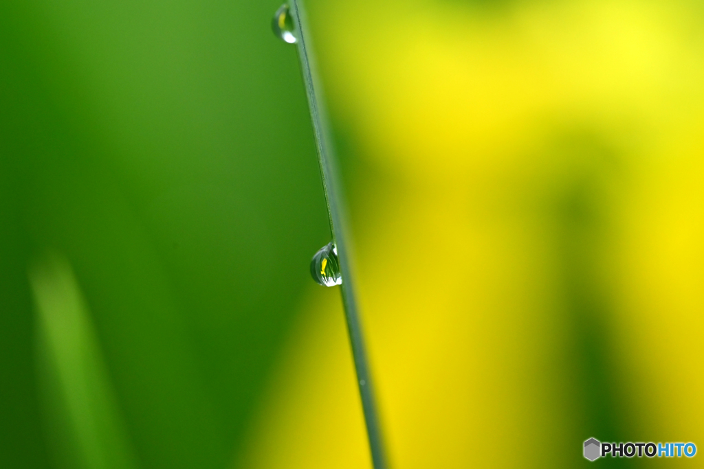 梅雨時の光景　Ⅳ