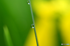 梅雨時の光景　Ⅳ