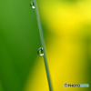 梅雨時の光景　Ⅳ