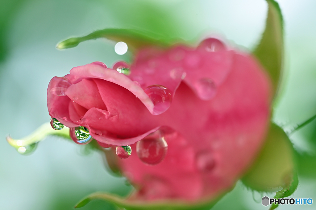 雨あがる　