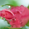 雨あがる　