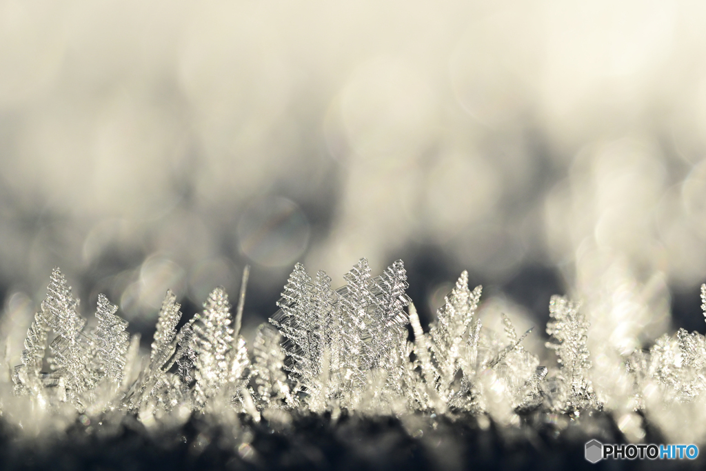 －10℃の朝　Ⅰ