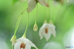 梅雨時の光景　Ⅰ