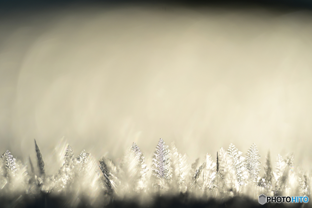 －10℃の朝　Ⅱ