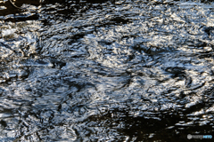 せせらぎ渦巻く