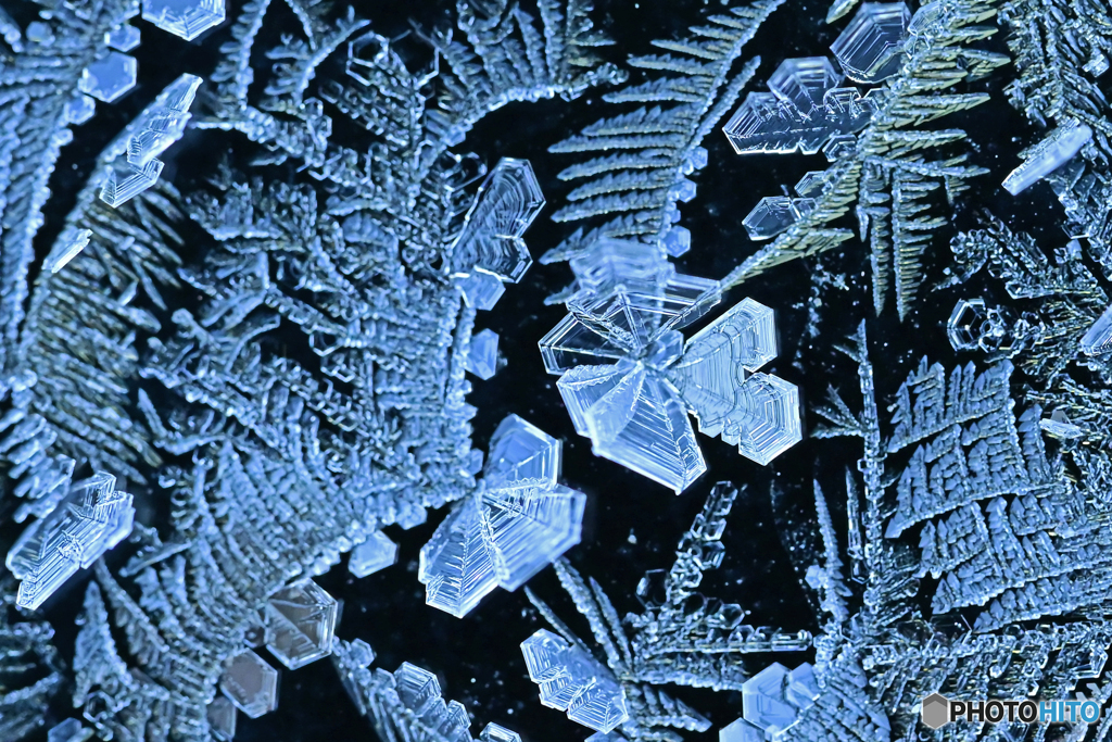 －13℃の朝　Ⅰ