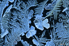 －13℃の朝　Ⅰ