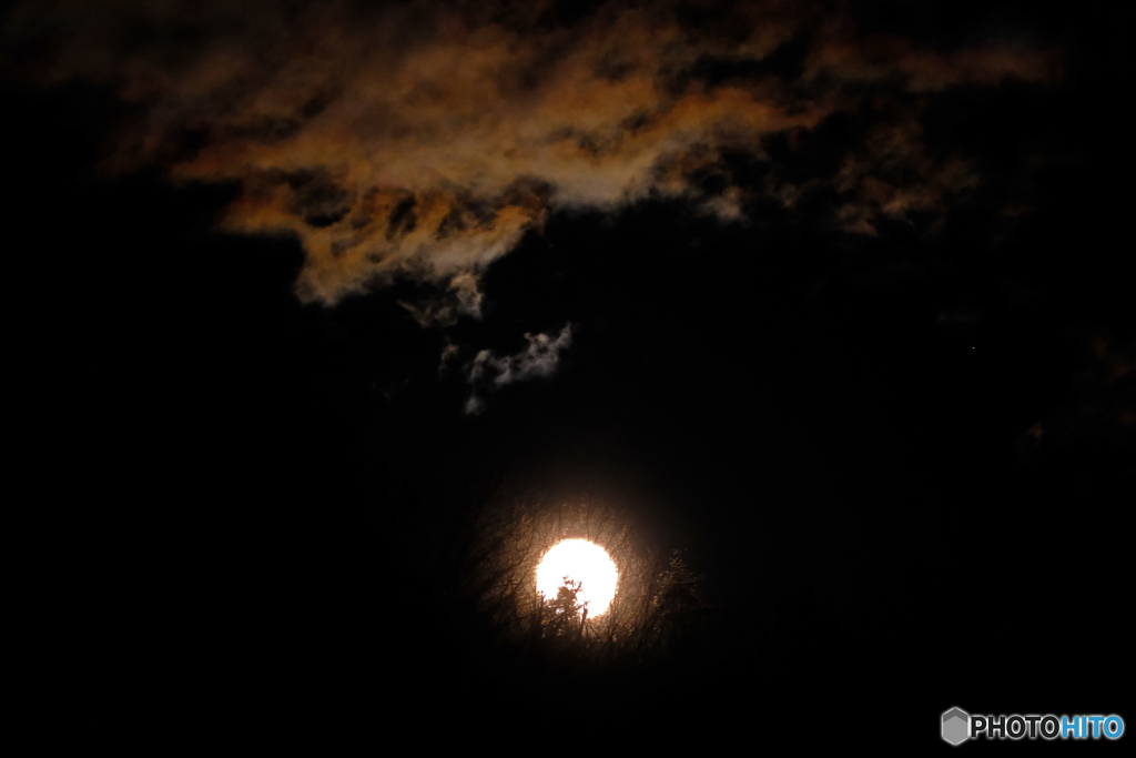 ウルフムーンの出