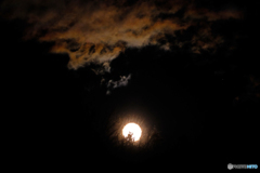 ウルフムーンの出