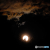 ウルフムーンの出