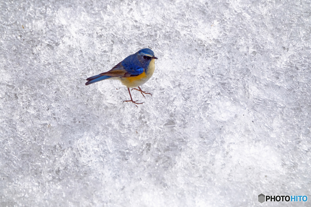寒中の青　氷の世界