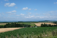 富良野・美瑛②