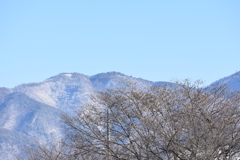 うっすらと雪化粧