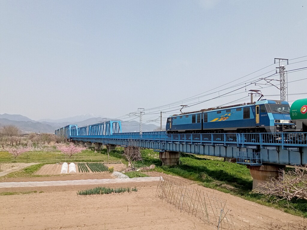 貨物列車が行く
