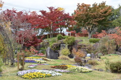 秋の花公園