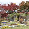 秋の花公園