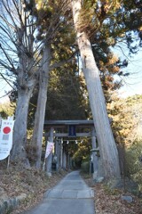 木立の中へ