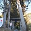 木立の中へ