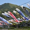 山を背に泳ぐ