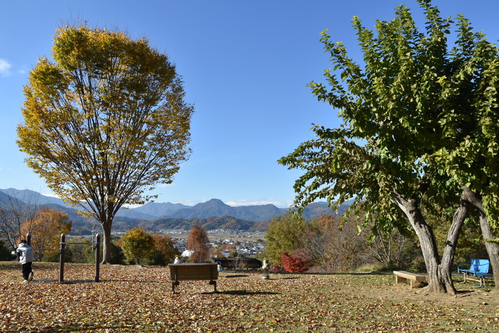 山王山公園