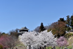 上田城跡公園