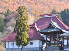 小布施　岩松院