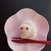 見つめられたけど