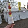 上田城千本桜まつり