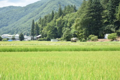 田園風景