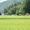 田園風景