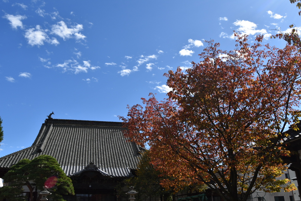 秋空