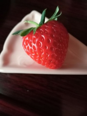 初採り