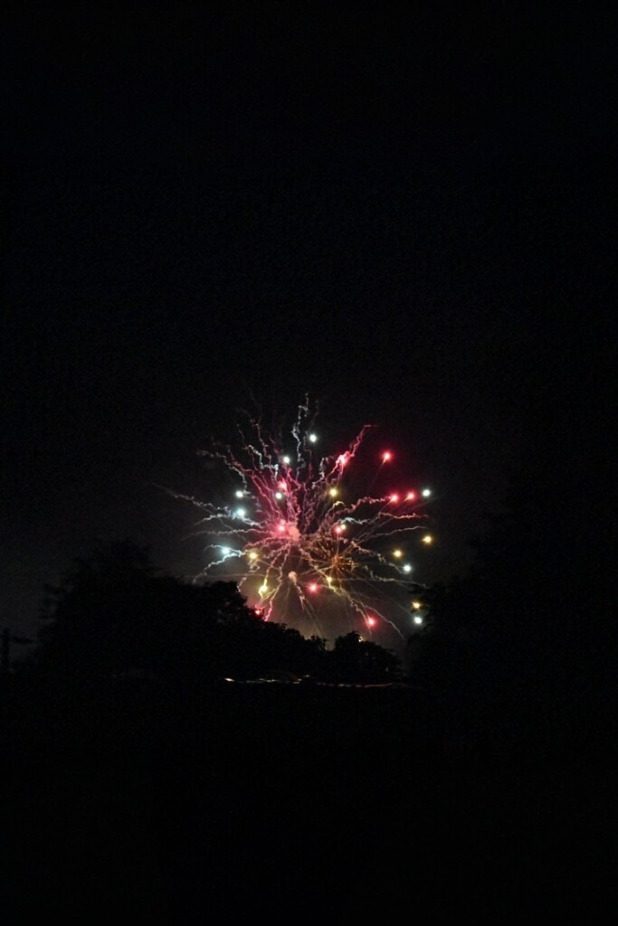 花市の夜